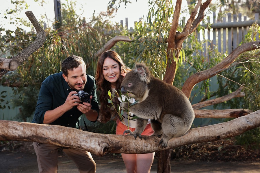 Photo: Ryan Corr, Mallory Jansen Credit: ©2025 Hallmark Media/Photographer: Courtesy Jaggi Entertainment
